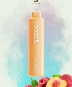 VOZOL-ALIEN-4000-DISPOSABLE-PEACH-RASPBERRY